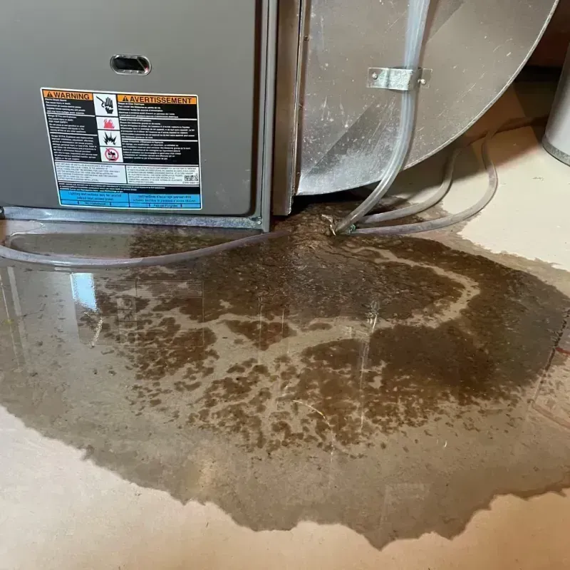 Appliance Leak Cleanup in Orland Park, IL